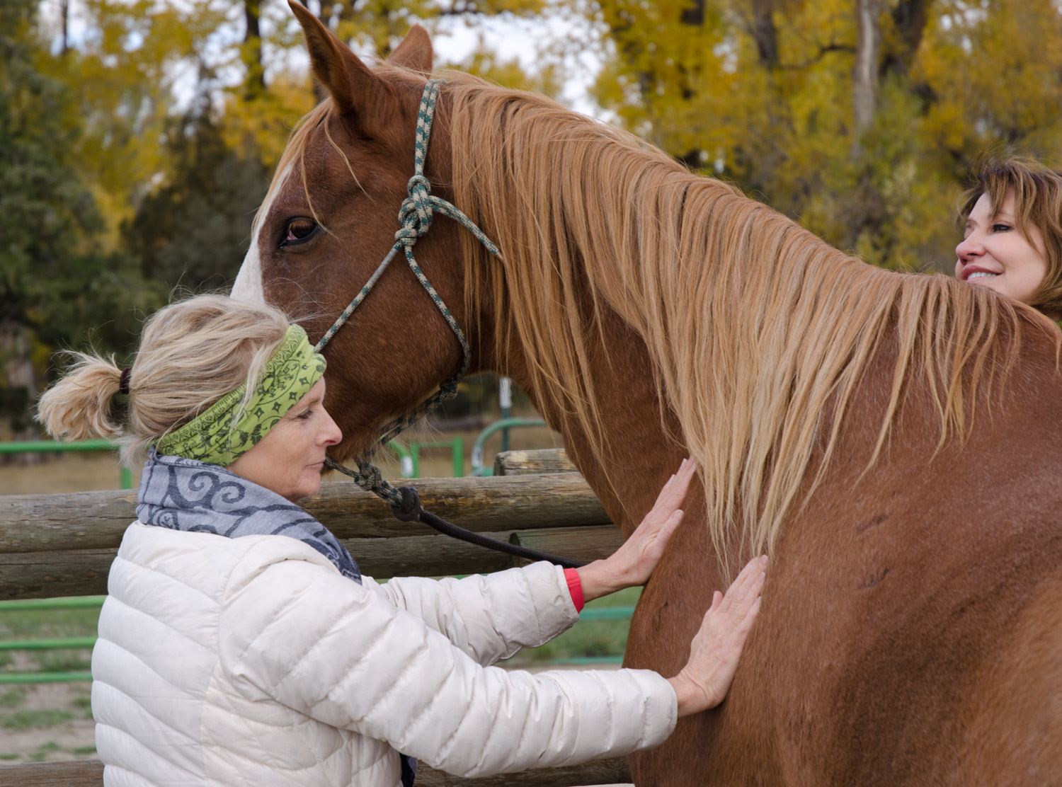 Cowgirl Yoga On Cnn Big Sky Yoga Retreats