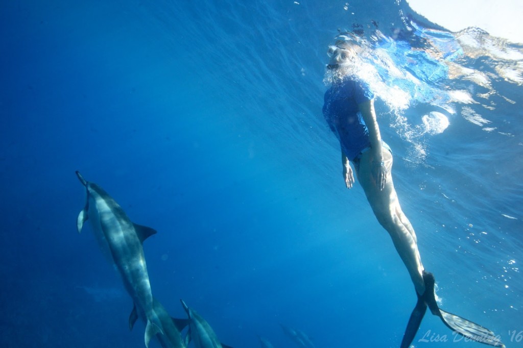 Big Sky Yoga Retreats Dolphins