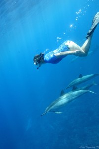 Big Sky Yoga Retreats Dolphins 2